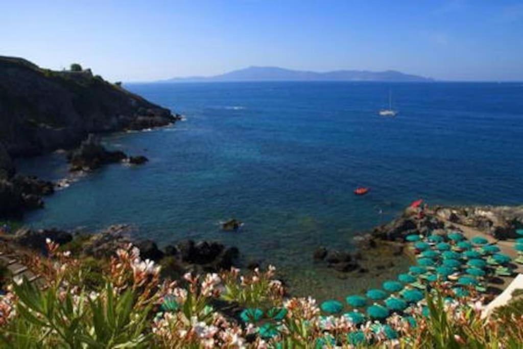 Near The Sea Big Panoramic House 2 Terraces In Lovely Village Montiano  Exterior photo